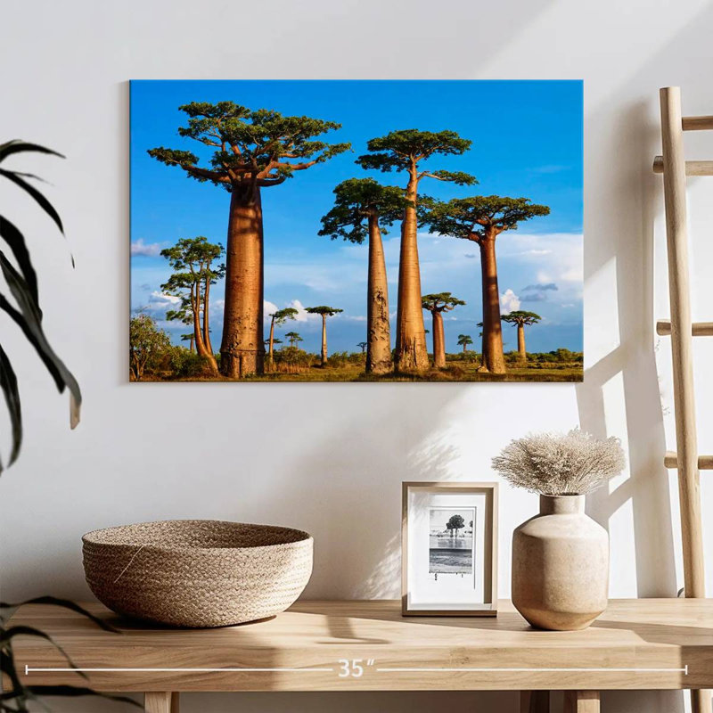 Morondava, forêt de Baobab, H 16 po x l 24 po