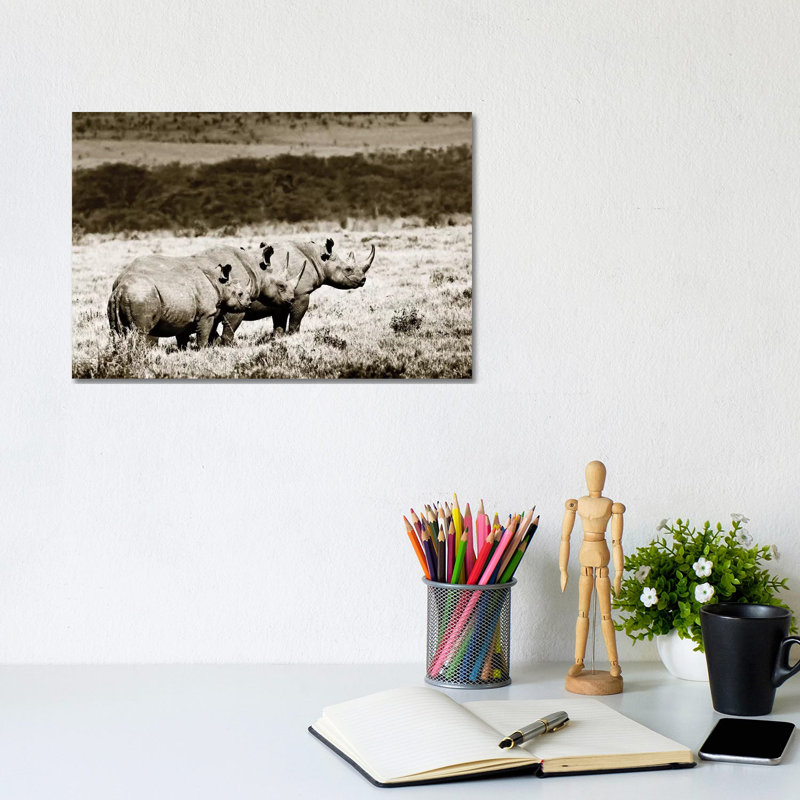 Conspiratorial Rhinos by Klaus Tiedge - Print on Canvas, 20.32 cm H x 30.48 cm W, Wrapped Canvas