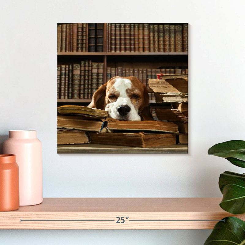 Chien et livres Brampt, H 16 po x l 16 po