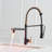 Fapully Pull Down Kitchen Faucet-73243239
