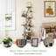 Plant Stand