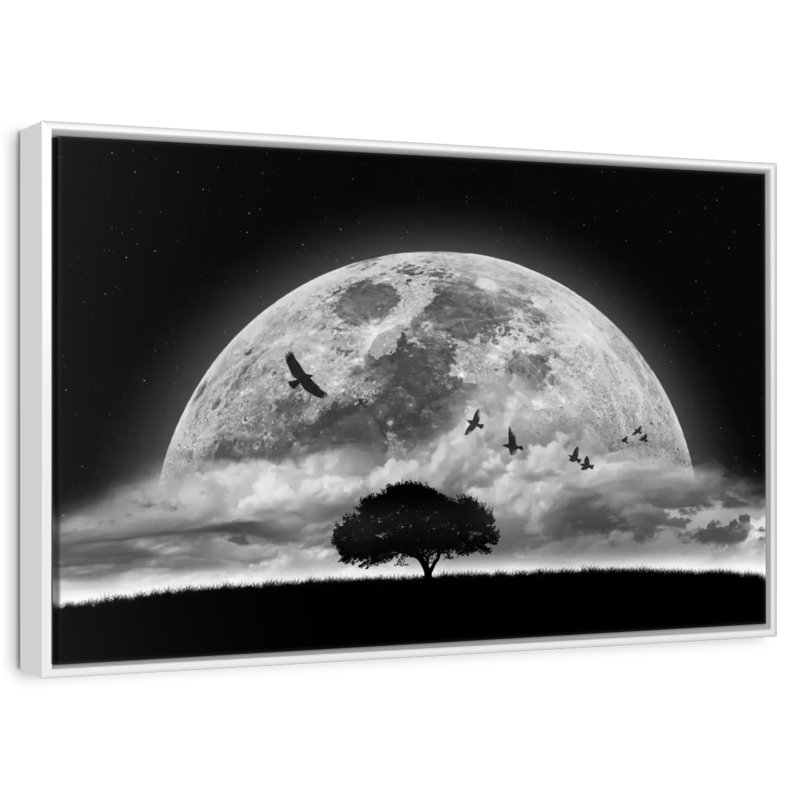 Lune fantastique, Cadre flottant blanc, 40 po x 27 po