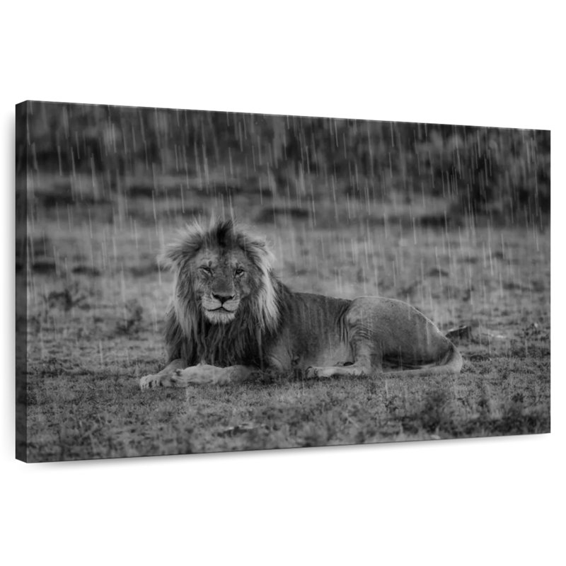 Corbeau lion safari Crowle, H 8 po x l 12 po