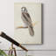 Canada Owl - impression sur toile tendue-1778319962