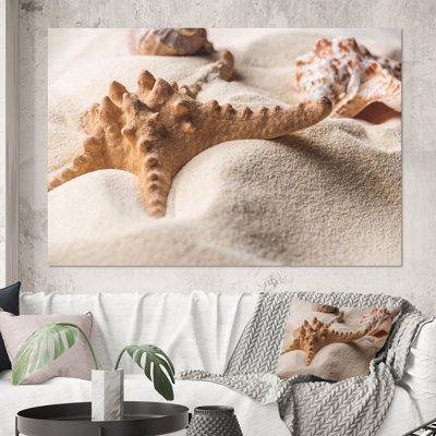 Étoile de mer et coquillage sur sable clair - photographie sur toile
