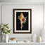 Large Shell 3 Print