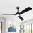 60" 3 - Blade Propeller Ceiling Fan With LED Lights And Remote Control-560736066