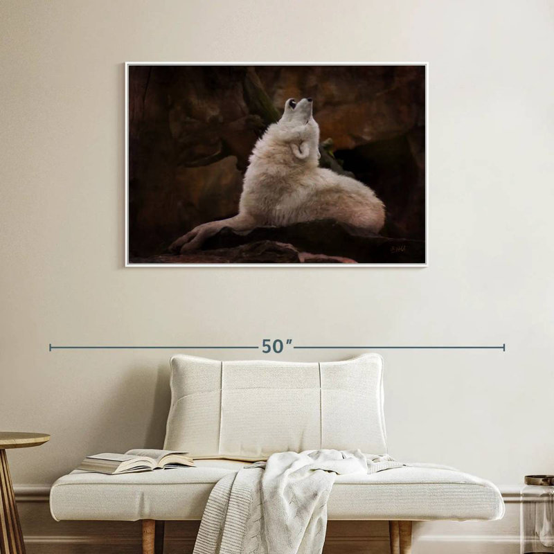 Loup blanc, Cadre flottant blanc, 40 po x 27 po