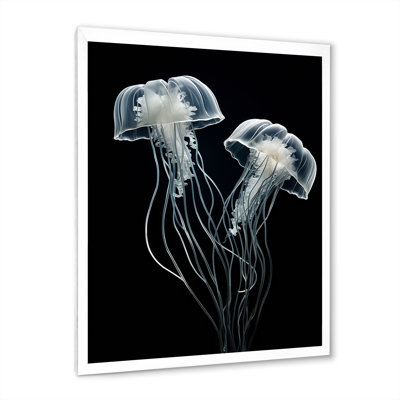 " Black And White Jellyfish Luminous Drifters I "