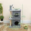 Tour pour chat 31,5 "avec 2 condos, arbre à chat multi-niveaux pour chatons