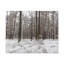 No Frame Print on Canvas-2128236313