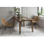 Padmini Outdoor Patio Dining Side Chair with Cushion