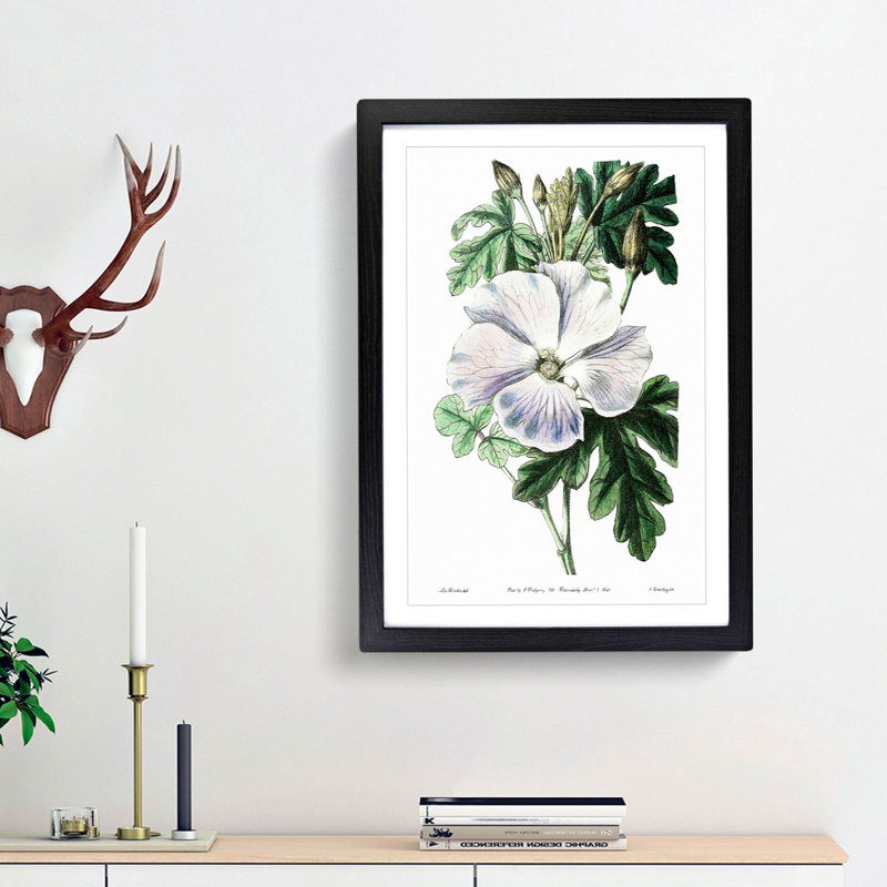White Hibiscus Flower - Framed Print, 48cm H x 36cm W x 2cm D, Black Framed
