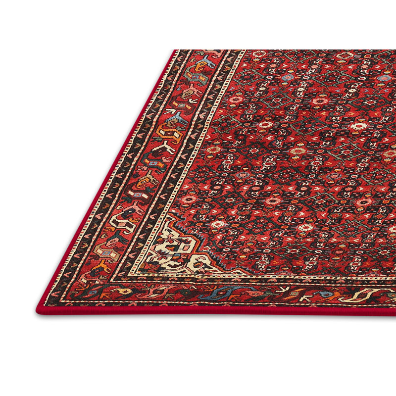 Dicle Oriental Indoor Rug, Rectangle 7' x 10'