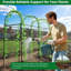 Plant Stand