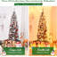 Lighted Artificial Fir Christmas Tree-1091874852