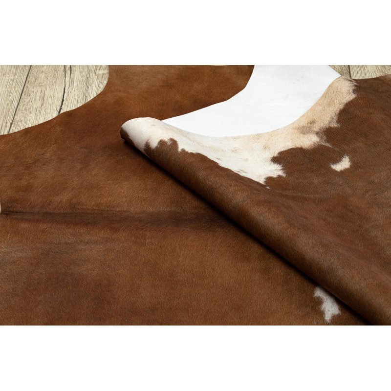 Pingree Tierdruck Area Rug, Novelty 180 x 220cm