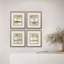 Treescape Study Set by Jardine
