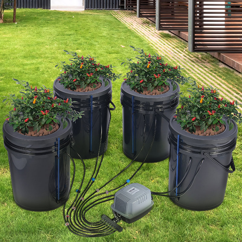 Black Polypropylene Hydroponic Grow System with Air Pump and Stones