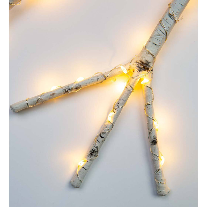 Lighted Birch Branch Snowflake Hanging Accent, White