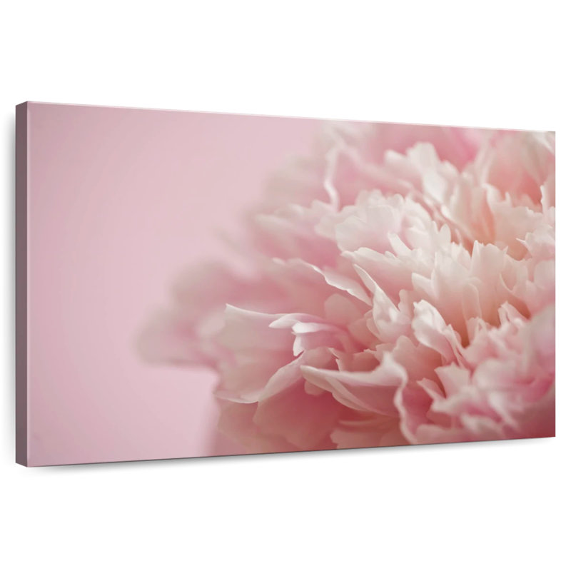 Harnek fondu au rose