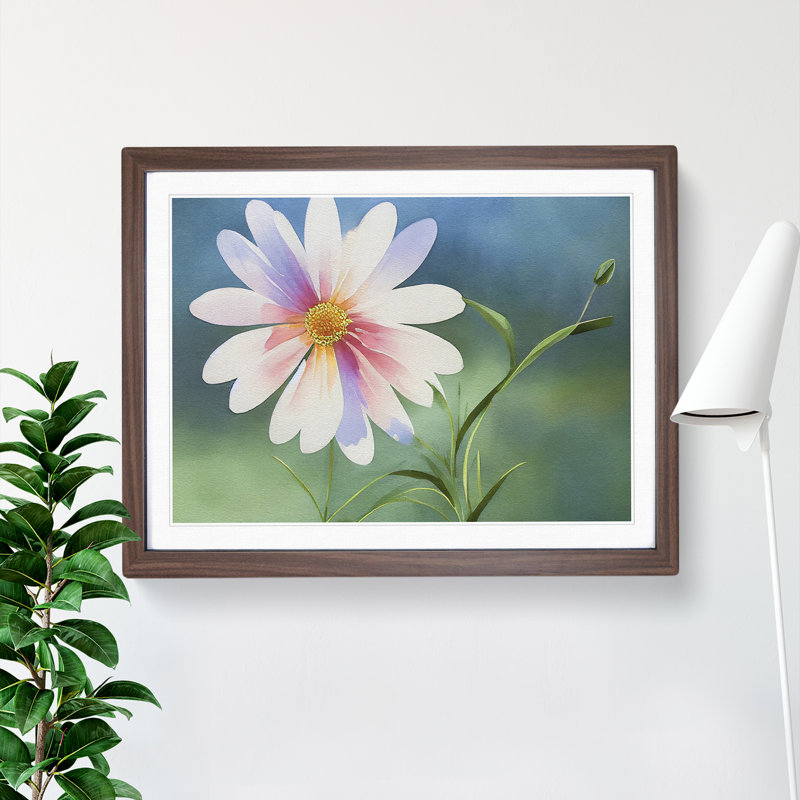 Watercolour Daisy Flower Vol.2 - Framed Print, 46cm H x 64cm W x 2cm D, Walnut