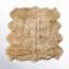 Lalo Sheepskin Area Rug in Cream-1538567553