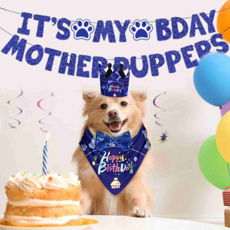 Ensemble de chapeaux Dog Birthday Bandana