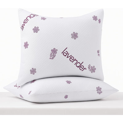 Ensemble de 2 coussins de lit Beddora Lavender