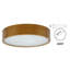 Alyose Flush Mount-276239905