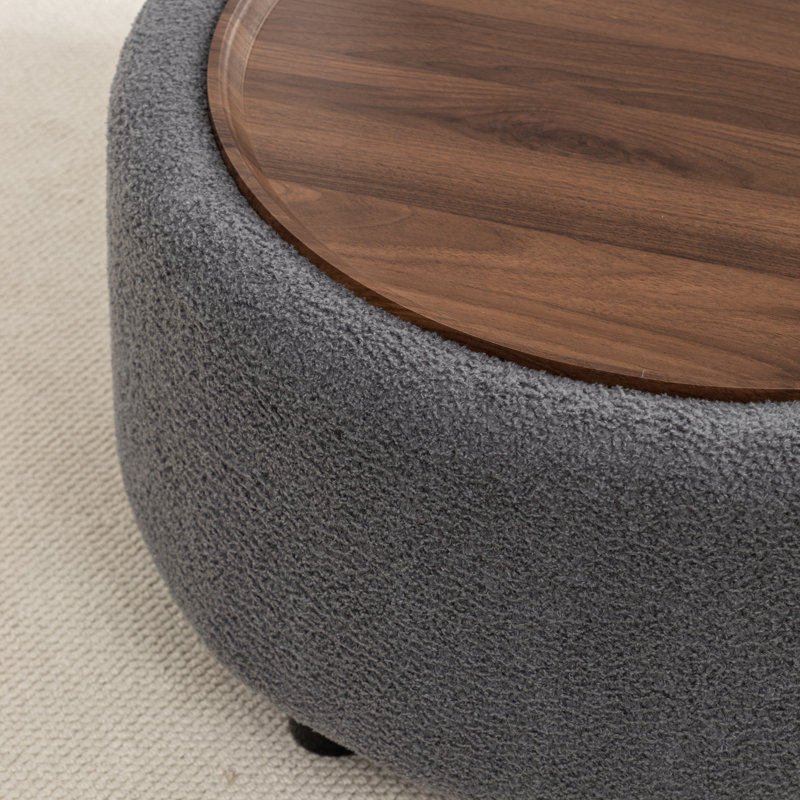 Pietsch Round Coffee Table with Storage