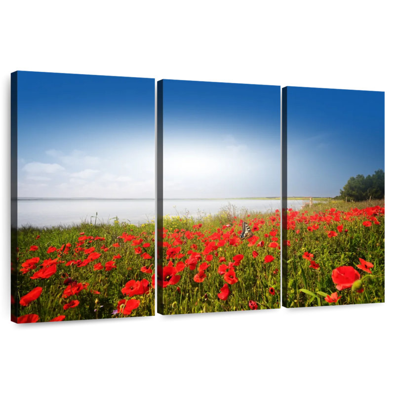 Alvord Lakeside Poppy Field, H 24 po x l 38 po