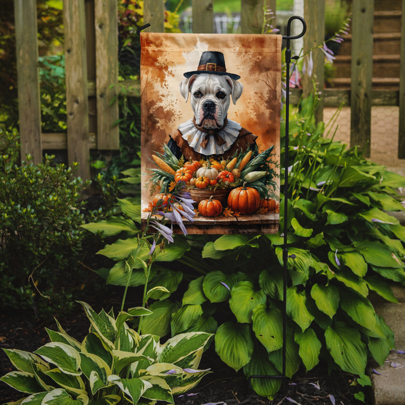 Drapeau du jardin de l'Action de grâce, Boxer blanc