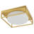 Binyamin 13 inch Caged Design Glass Flush Mount Light  Fixture-1414282335