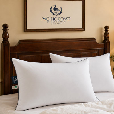 Oreiller de lit Pacific Coast, oreiller en duvet d'oie, taille standard, paquet de 2