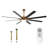 SkyFan Cygnus 65" 8-Blade Ceiling Fan