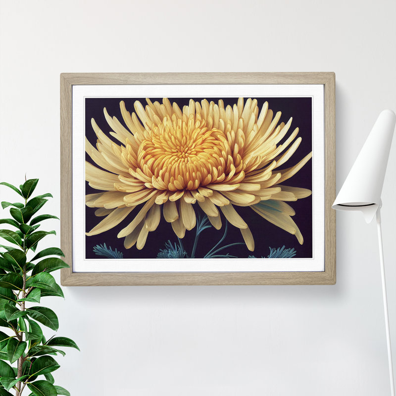 XH1022-1886X Charming Chrysanthemum Flower - Single Picture Frame Print, 25cm H x 34cm W x 2cm D, Oak