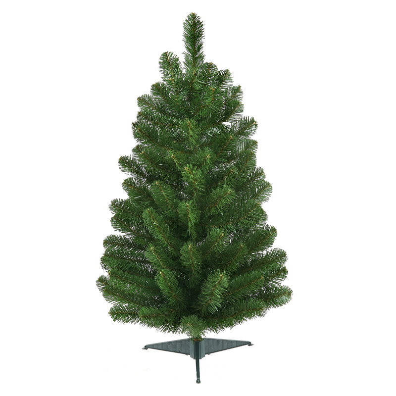 Sapin de l'Oregon 3 'de luxe