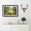 View of the Forest in the Spring - Framed Print-56734464-56734466