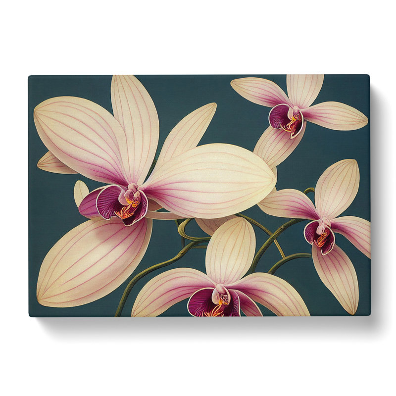 Wonderful Orchid Flowers - Wrapped Canvas, 50cm H x 76cm W x 3cm D