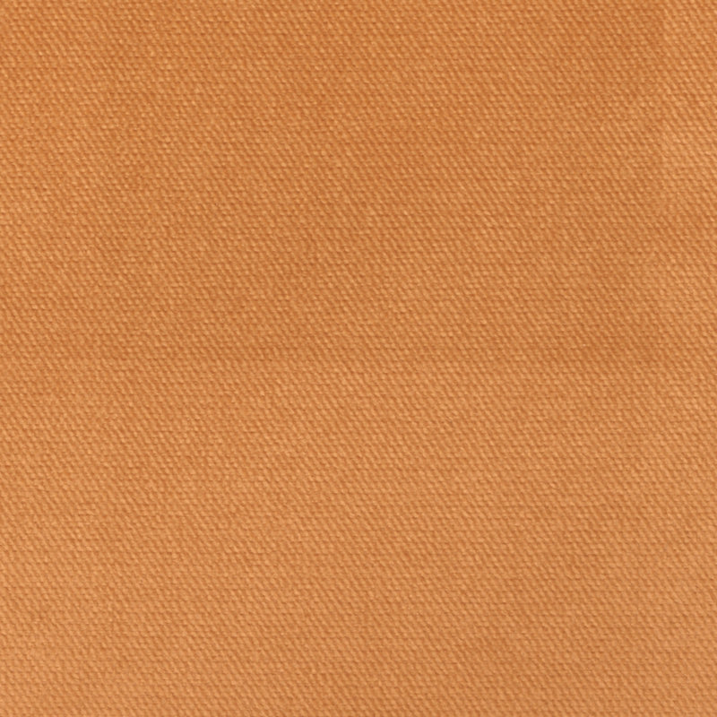 Velours de satin de coton Belvedere-Byron, Satsuma