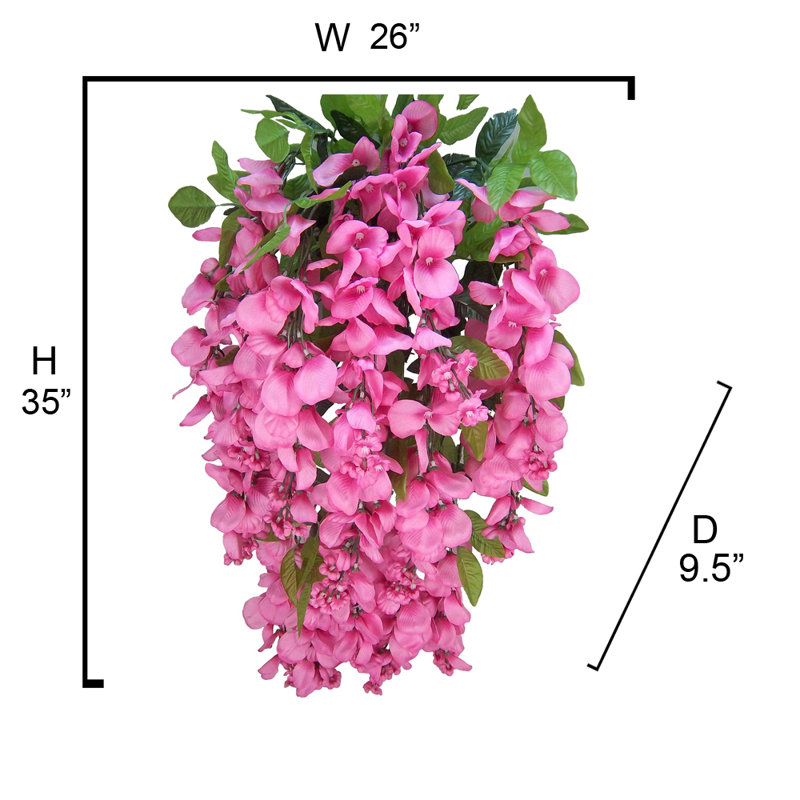 Tiges de glycine, Rose