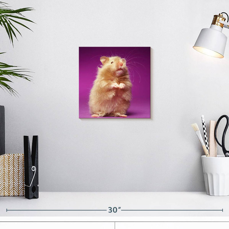 Ketti Fluffy Hamster, 10" H x 10" W