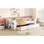 Lit de jour simple avec tablettes et tiroirs-118022063