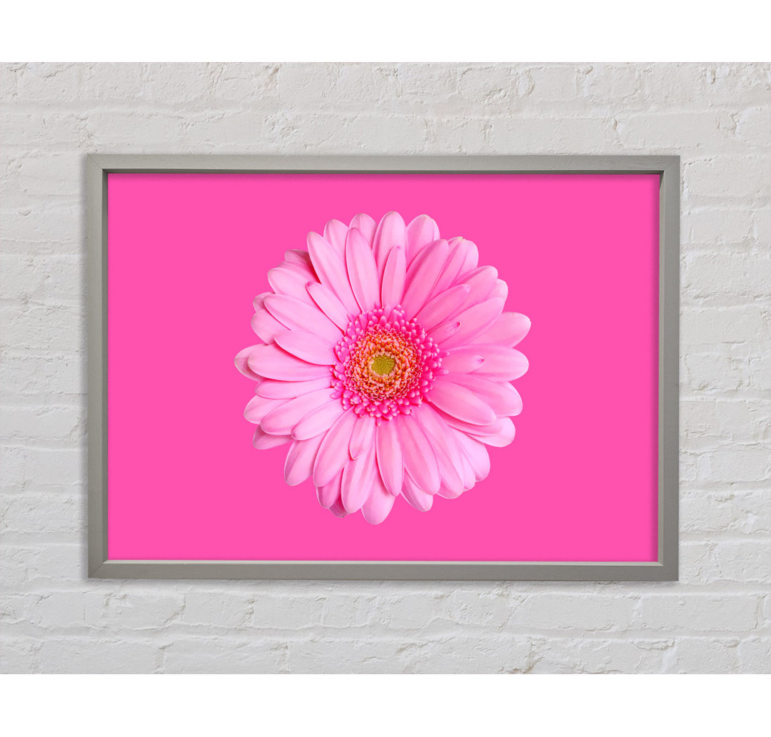 Baby Pink On Pink Gerbera - Einzelner Bilderrahmen Kunstdrucke auf Leinwand