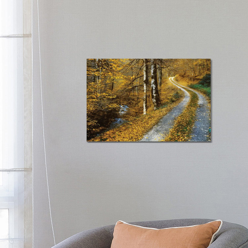 Winding Road by Lars Van De Goor - Wrapped Canvas Print, 66.04 cm H x 45.72 cm W x 1.91 cm D