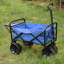 Chariot de plage pliable-123509948