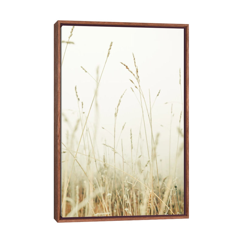 Winter Field II by Olivia Joy StClaire - Print on Canvas
