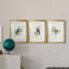«Spring Song Blue Bird» - ensemble de photos encadrées-384428554-384428533