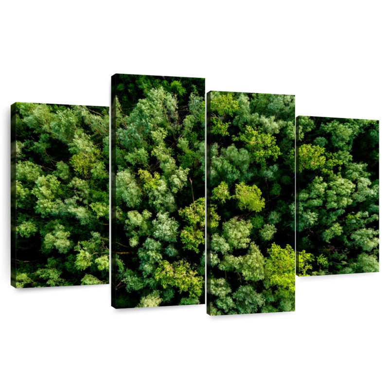 Alvord Lush Green Woodland, H 32 po x l 52 po